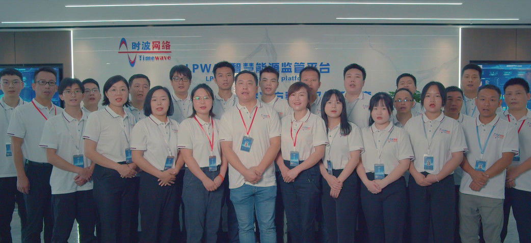 China Wuhan Time Wave Network Technology Co., Ltd. Unternehmensprofil