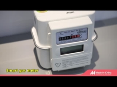 IOT-Smart-Gaszähler, LoRaWAN/Cat.1/RS485-Kommunikation mit AMI/AMR-Lösungen