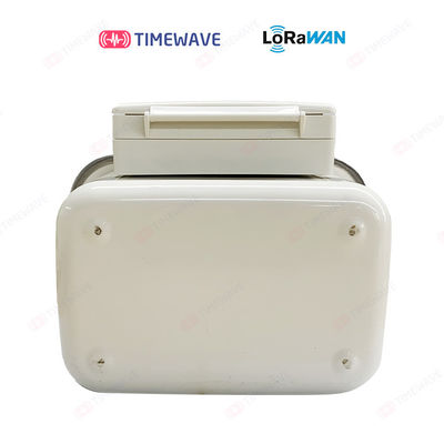 Ultrasonic Gas Meter  With Wide Dynamic Range And Multiple Output Formats