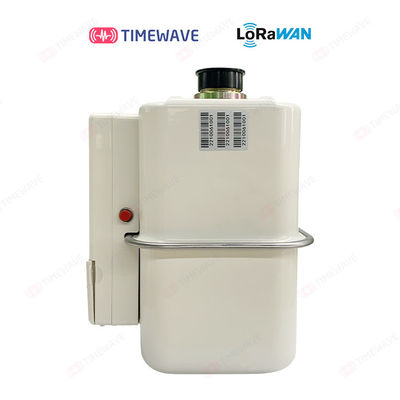 Ultrasonic Gas Meter  With Wide Dynamic Range And Multiple Output Formats