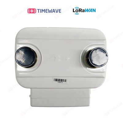 LoRaWAN Gas Meter For Direct Connected Wall Mounted Installation With Extended Battery Life